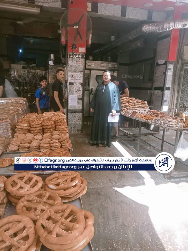 المرور على 100 مخبز وتحرير محاضر بالجملة في حنلات تموينية بالدقهلية منذ 9 دقائق